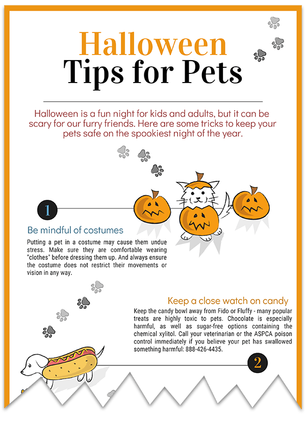 Halloween Tips pet safety infographic download