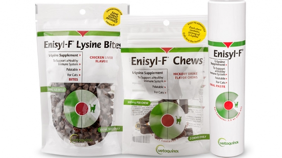 Enisyl-F Lysine Supplements for Cats