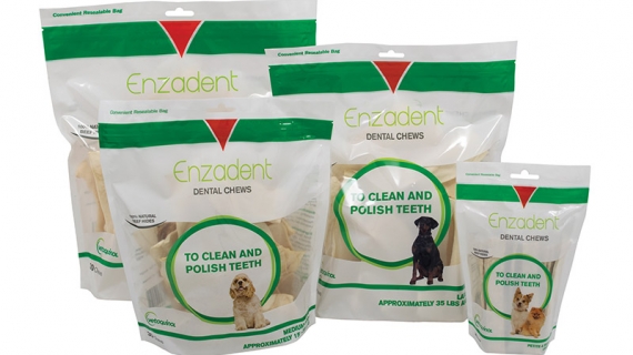 Enzadent Dental Chews for Dogs