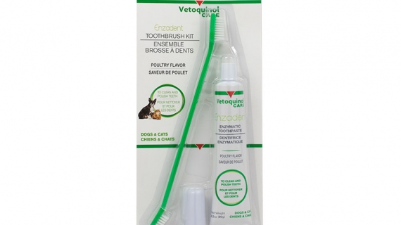 Enzadent Toothbrush Kit for Dogs and Cats