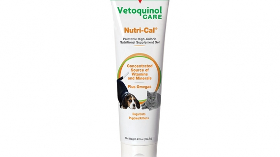 Nutri-Cal Gel for Dogs and Cats