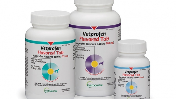 Vetprofen Flavored Tabs for Dogs