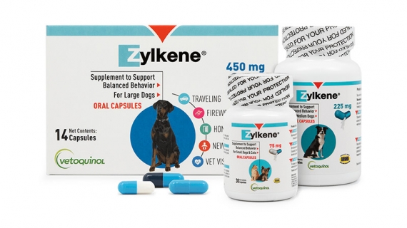 Zylkene Behavior Supplements for Dogs and Cats