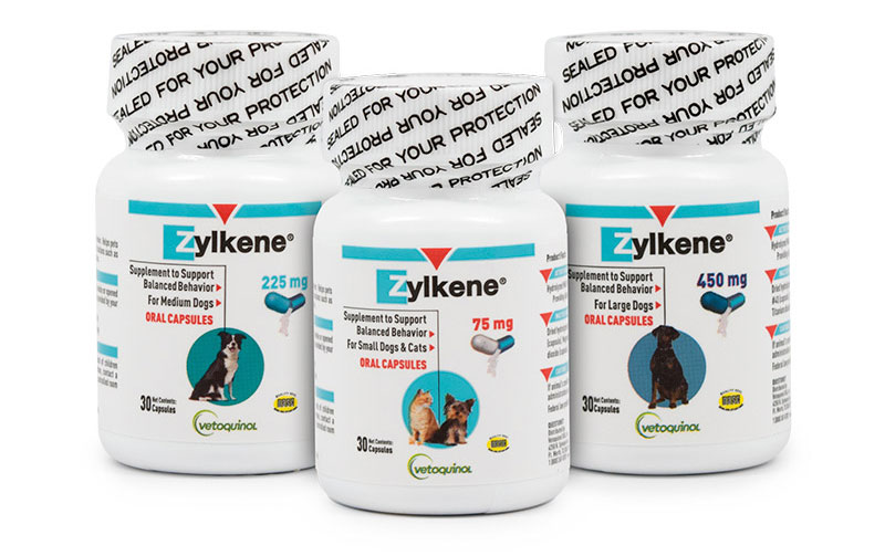 zylkene for cats pets at home